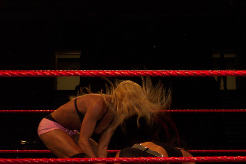 Torrie-Wilson-WWE
