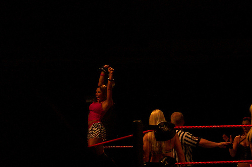 Torrie-Wilson-WWE