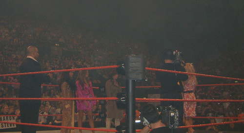 Torrie-Wilson-WWE
