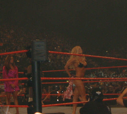 Torrie-Wilson-WWE