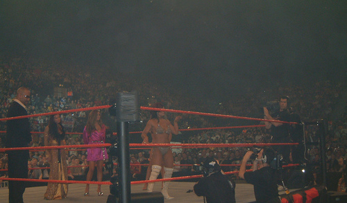 Torrie-Wilson-WWE