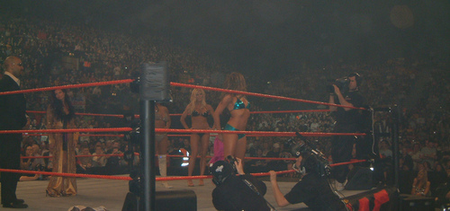 Torrie-Wilson-WWE