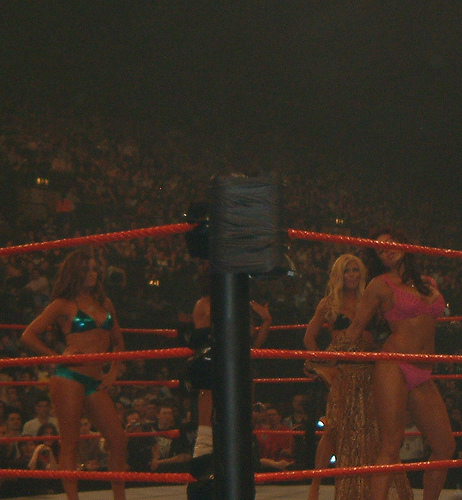 Torrie-Wilson-WWE