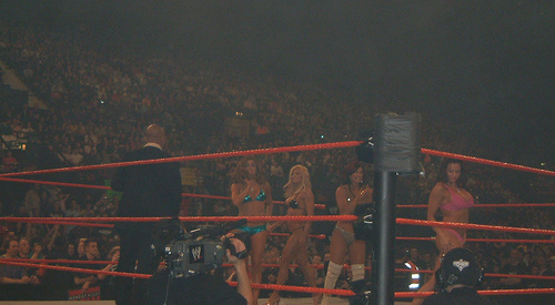 Torrie-Wilson-WWE