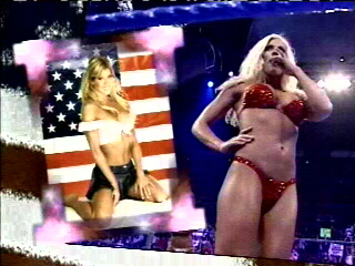 Torrie-Wilson