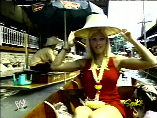 Torrie-Wilson
