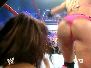 Torrie-Wilson