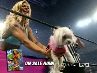 Torrie-Wilson