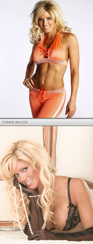 Torrie Wilson posed nude for Playboy in 2003