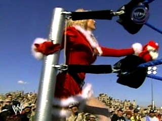 Torrie-Wilson