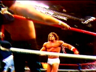 Ultimate-Warrior-Wrestling