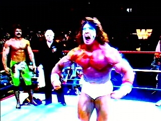 Ultimate-Warrior-Wrestling