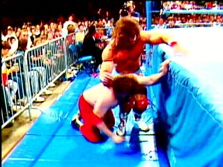 Ultimate-Warrior-Wrestling