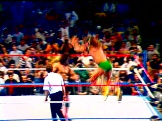 Ultimate-Warrior-Wrestling