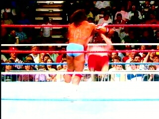 Ultimate-Warrior-Wrestling
