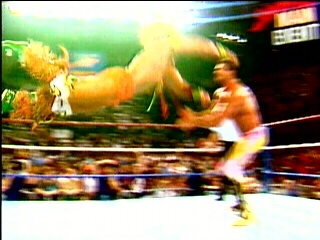 Ultimate-Warrior-Wrestling