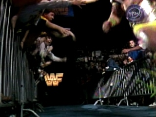 Ultimate-Warrior