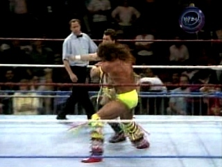 Ultimate-Warrior