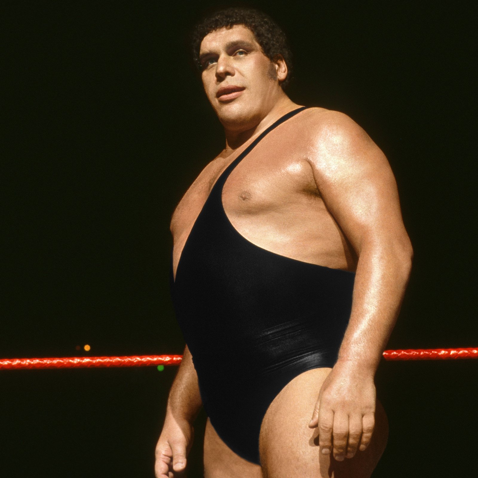 Andre the Giant