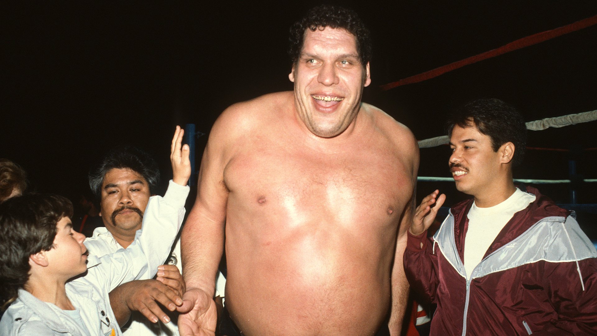 Andre the Giant