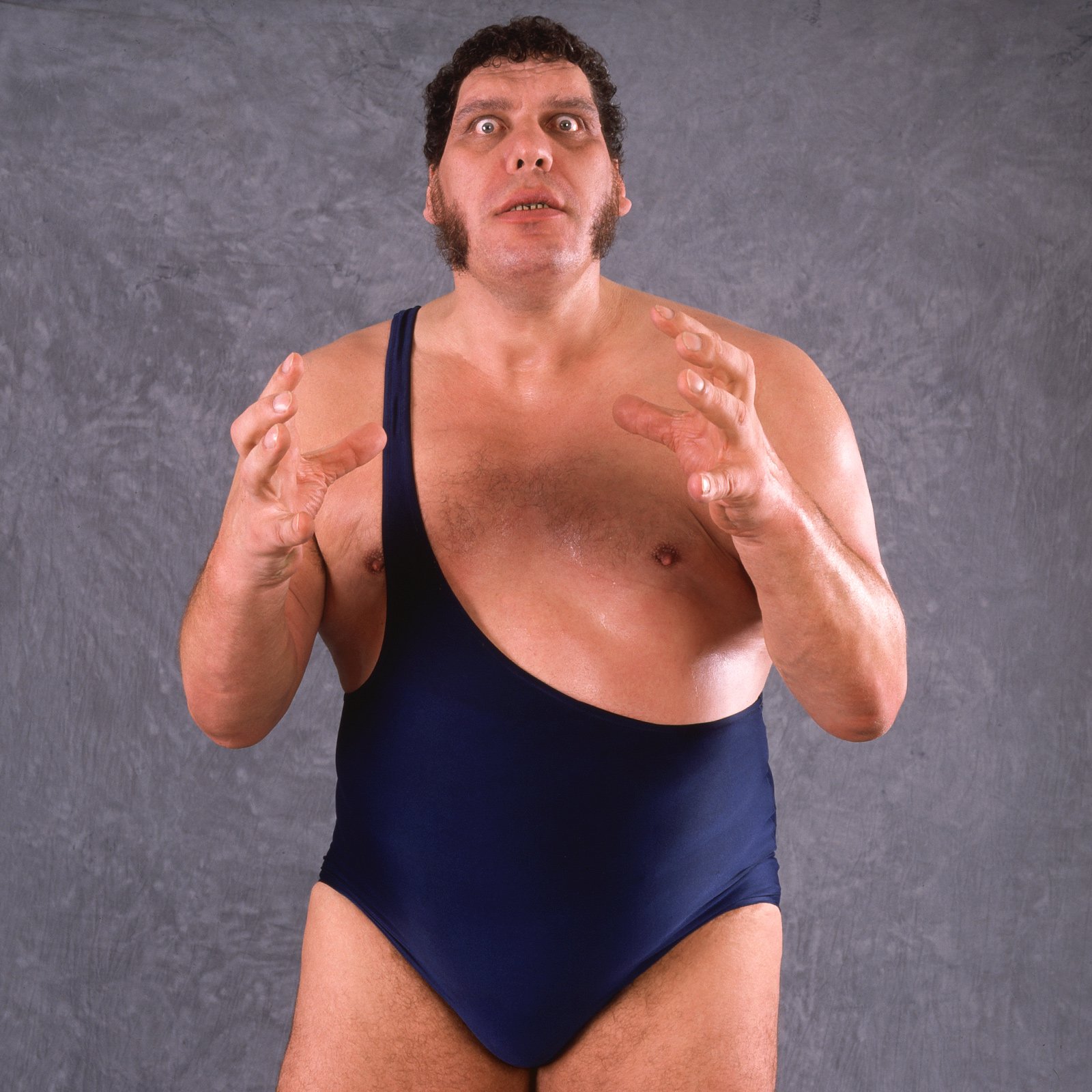 Andre the Giant