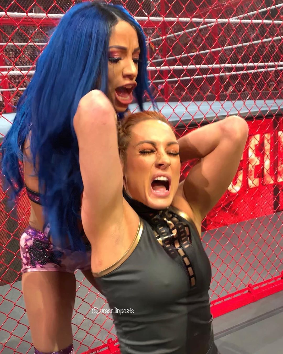 Becky lynch boobs