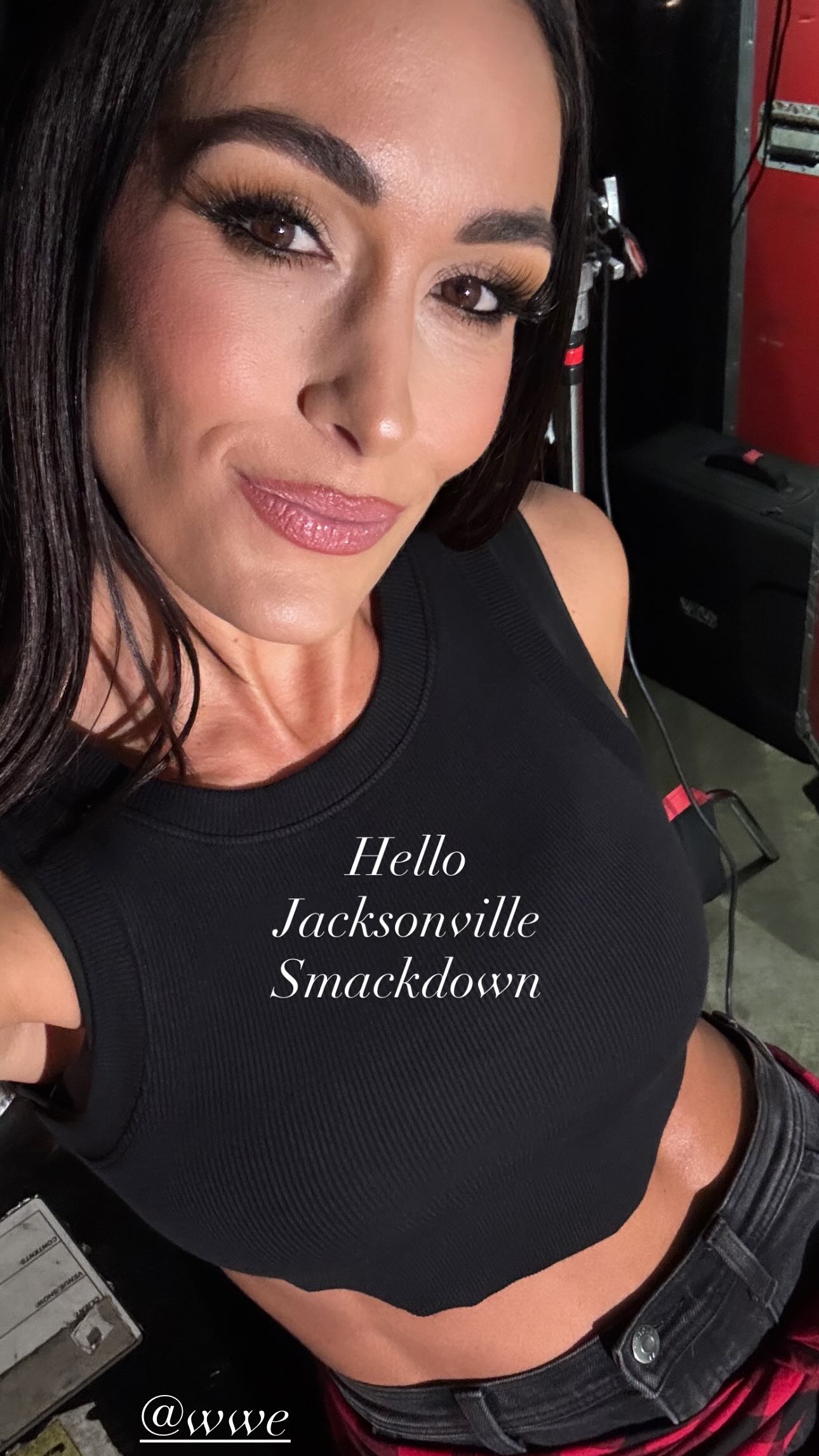 Brie Bella