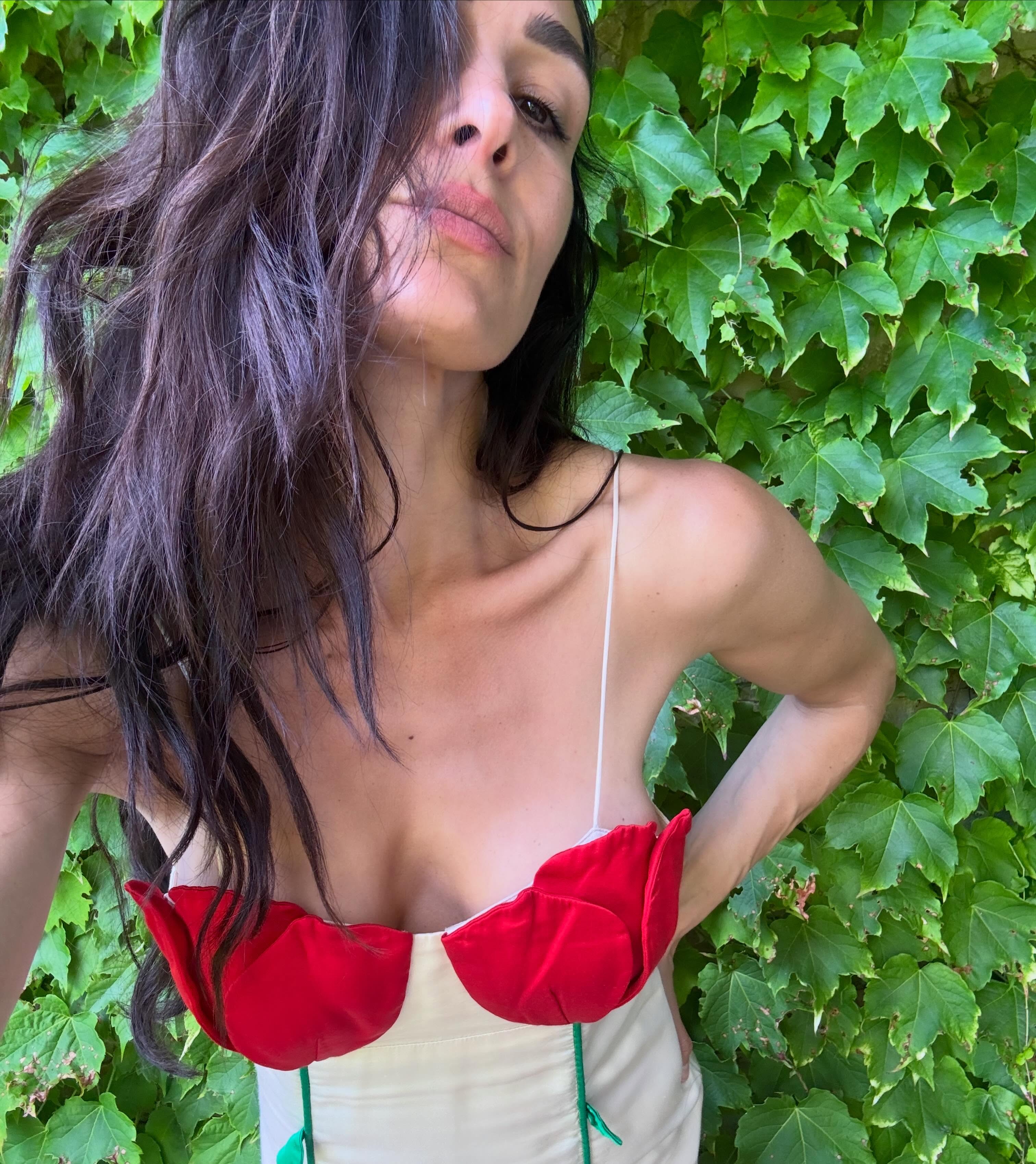 Brie Bella