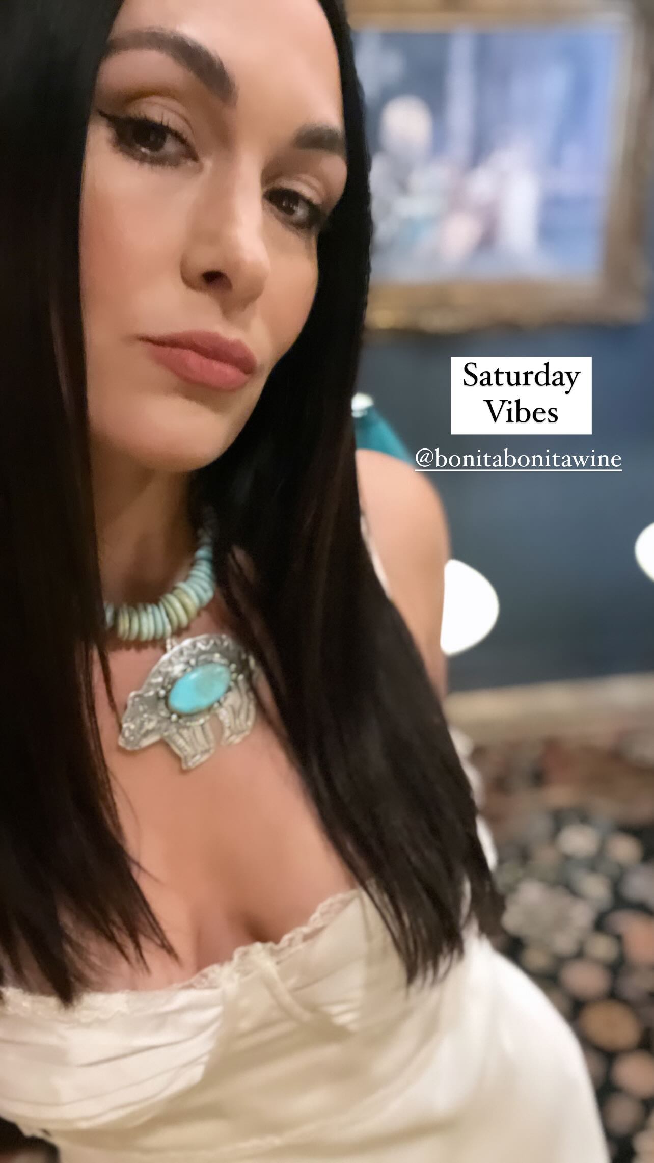 Brie Bella