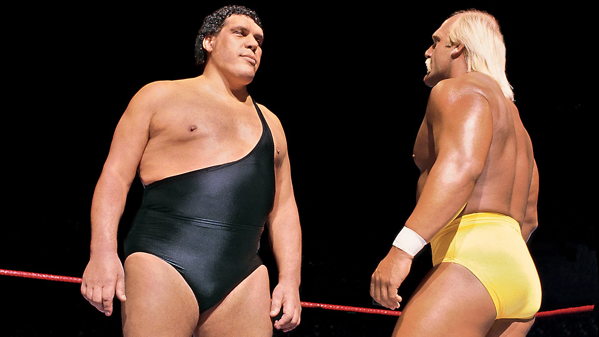 Hulk Hogan
