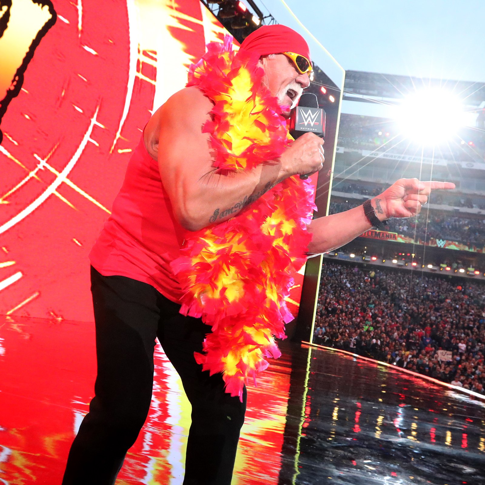 Hulk Hogan