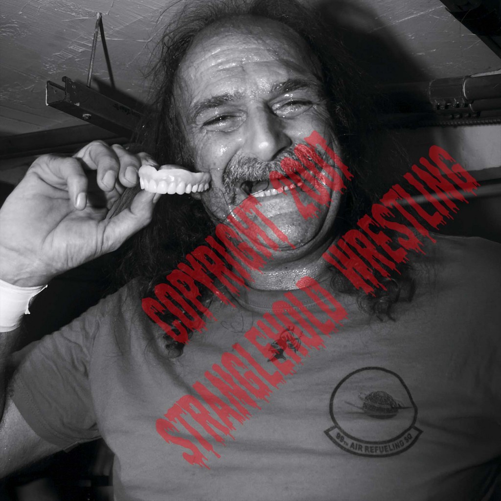 Jake-The-Snake-Roberts
