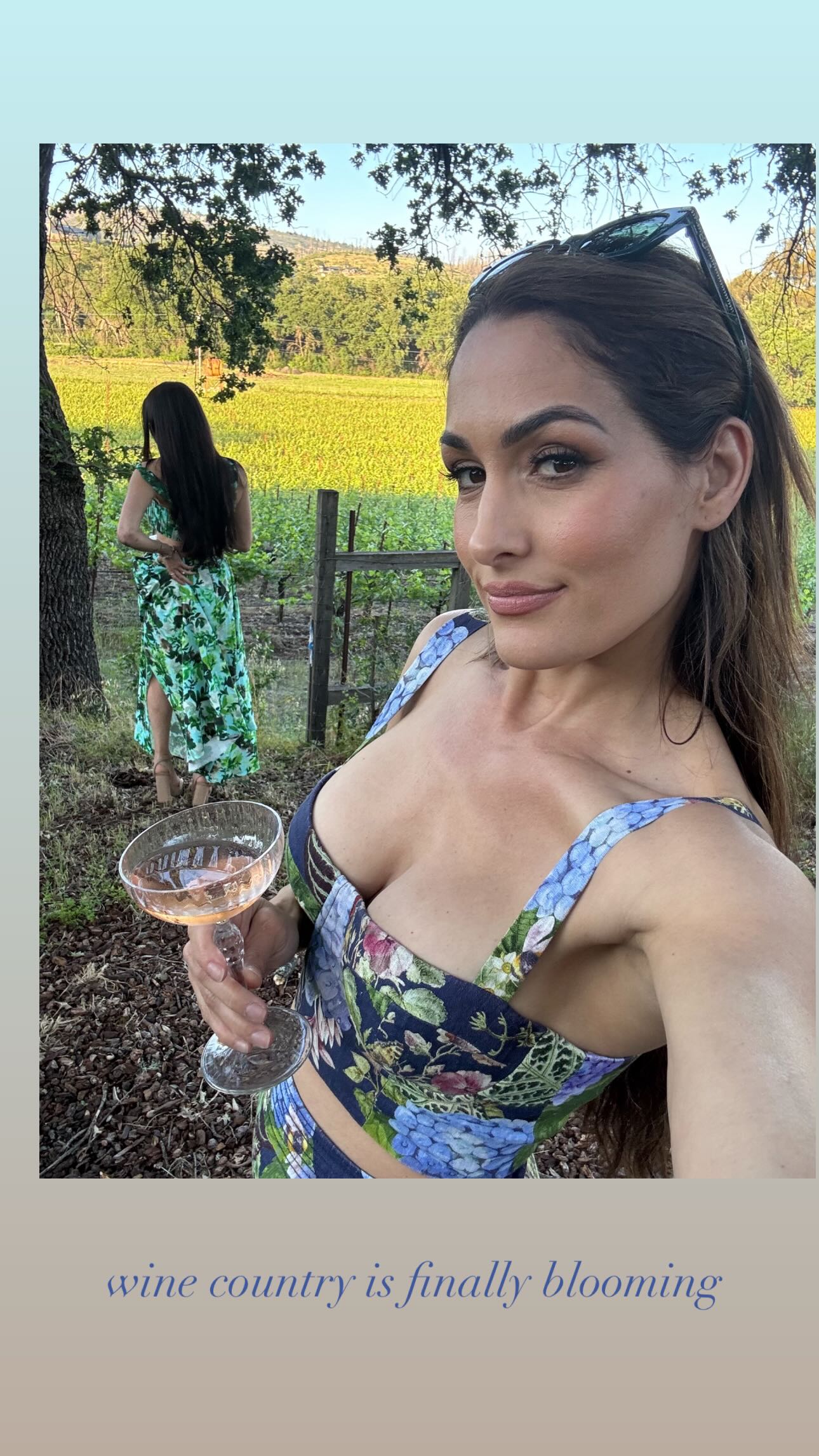 Nikki Bella