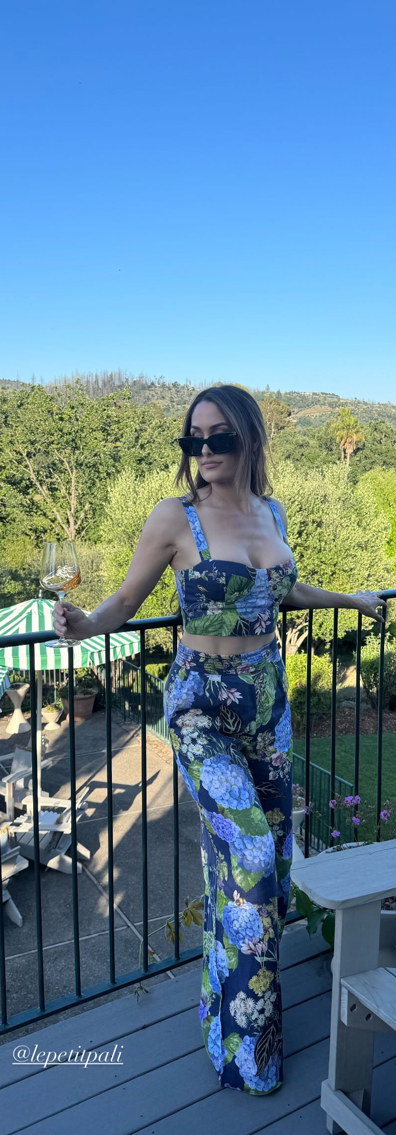 Nikki Bella
