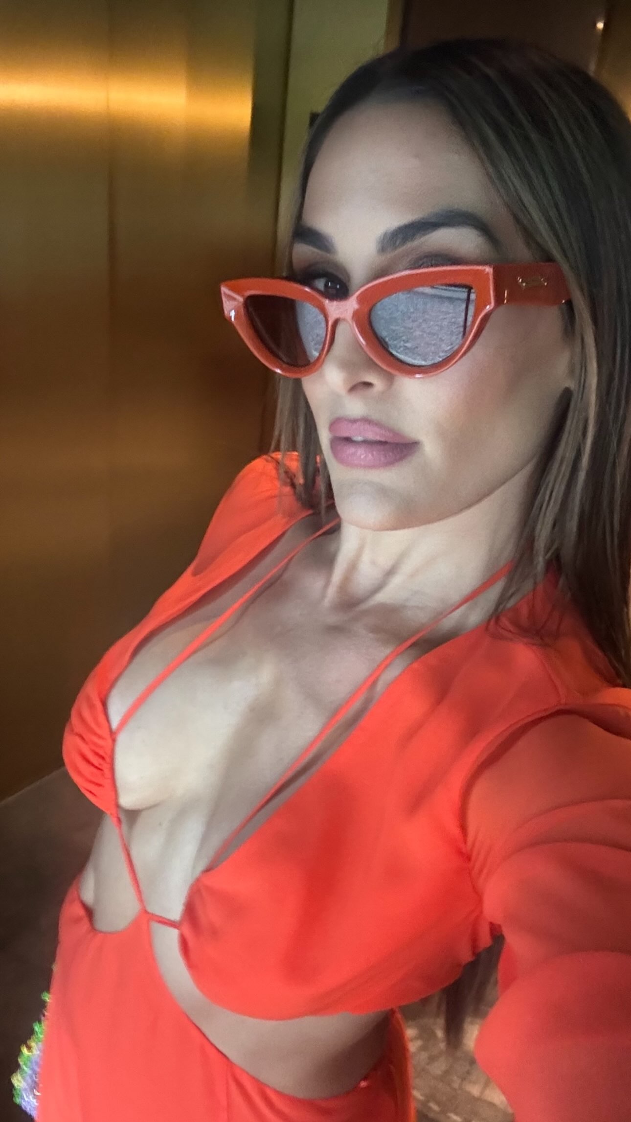 Nikki Bella