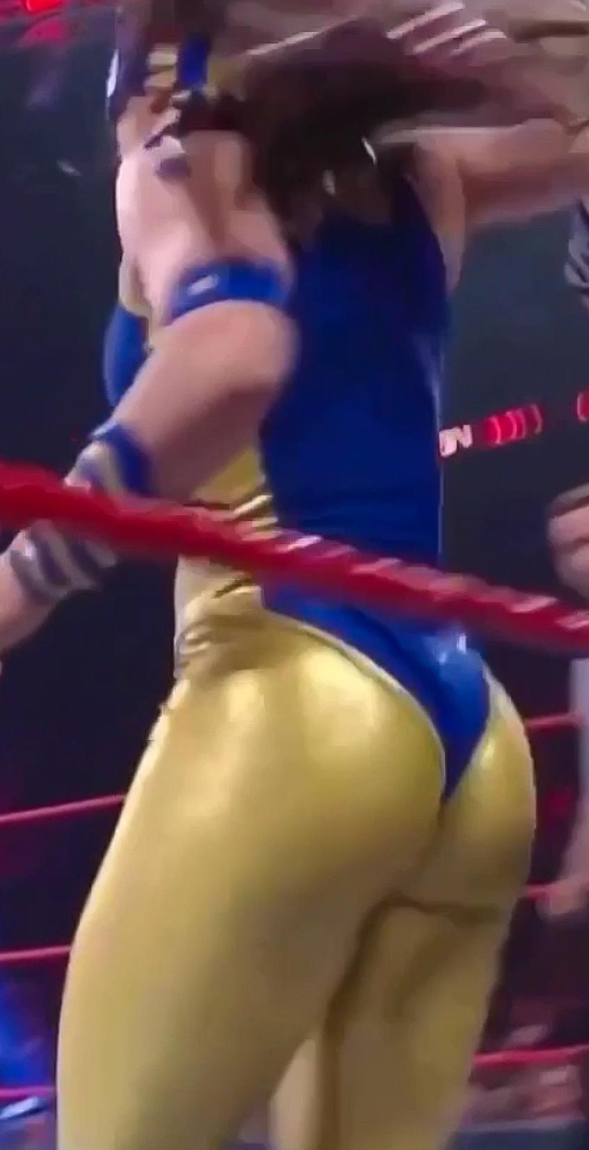 31 Nikki A.s.h.'s Ass Photos Wwe Fans Need To See