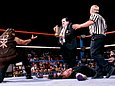 Paul Bearer
