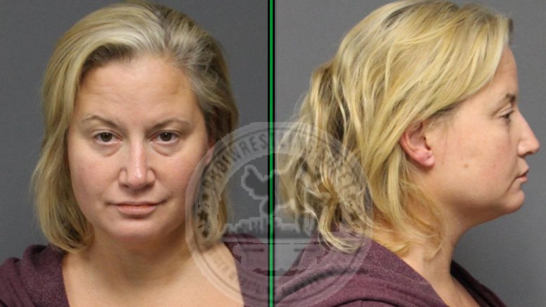 Tammy Sytch mugshot - September 2016