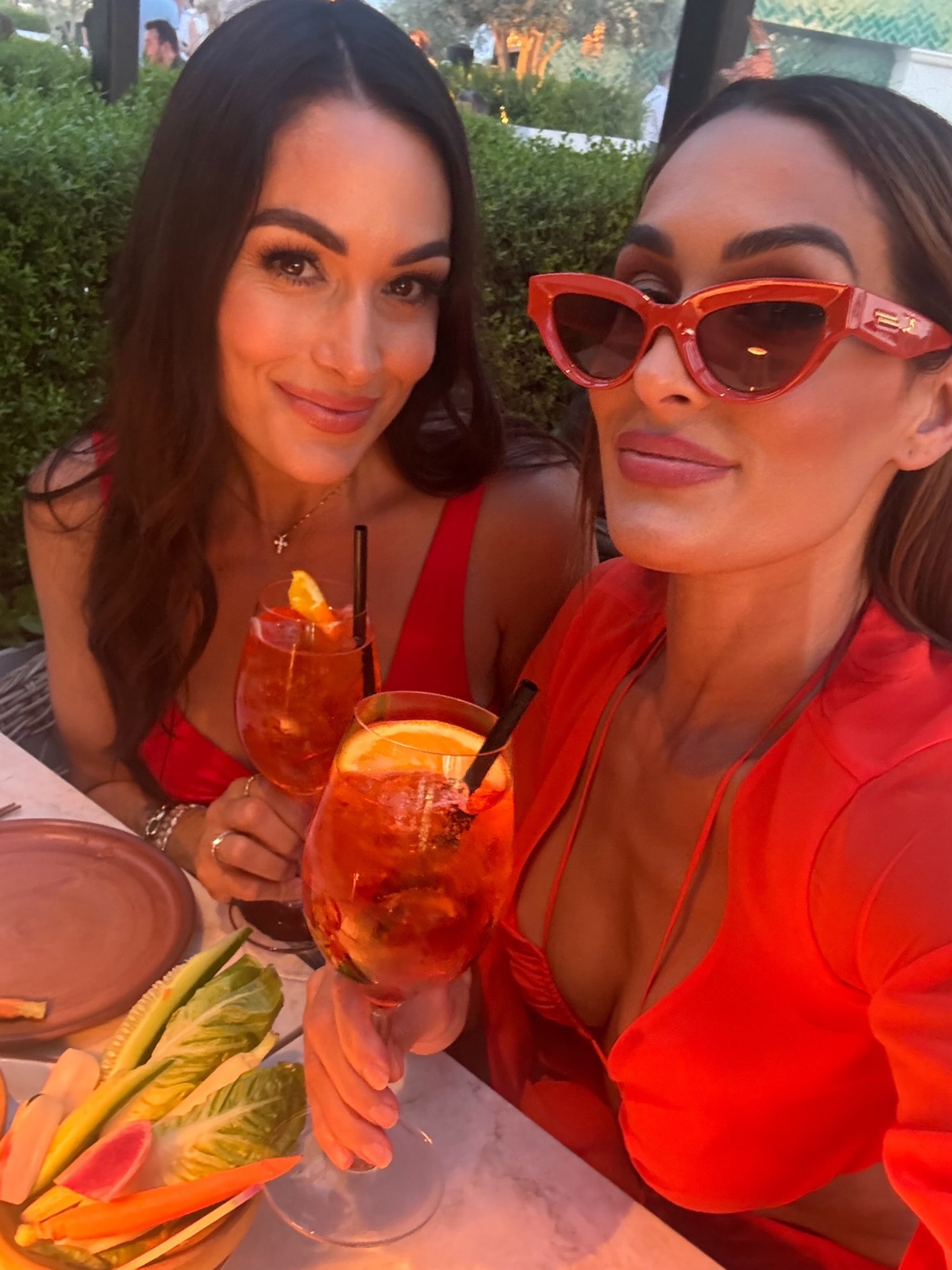 Nikki and Brie Garcia