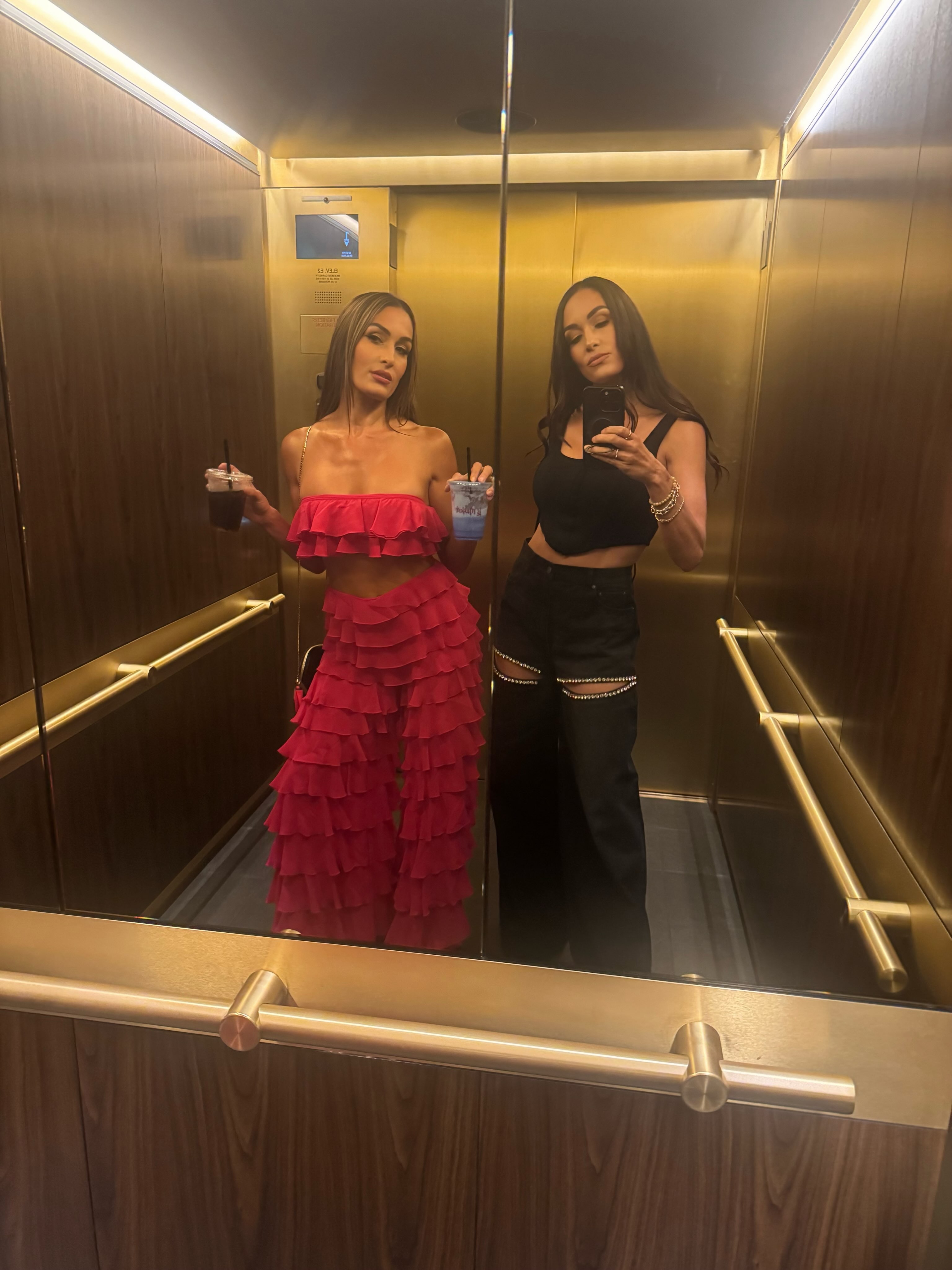 Nikki and Brie Garcia