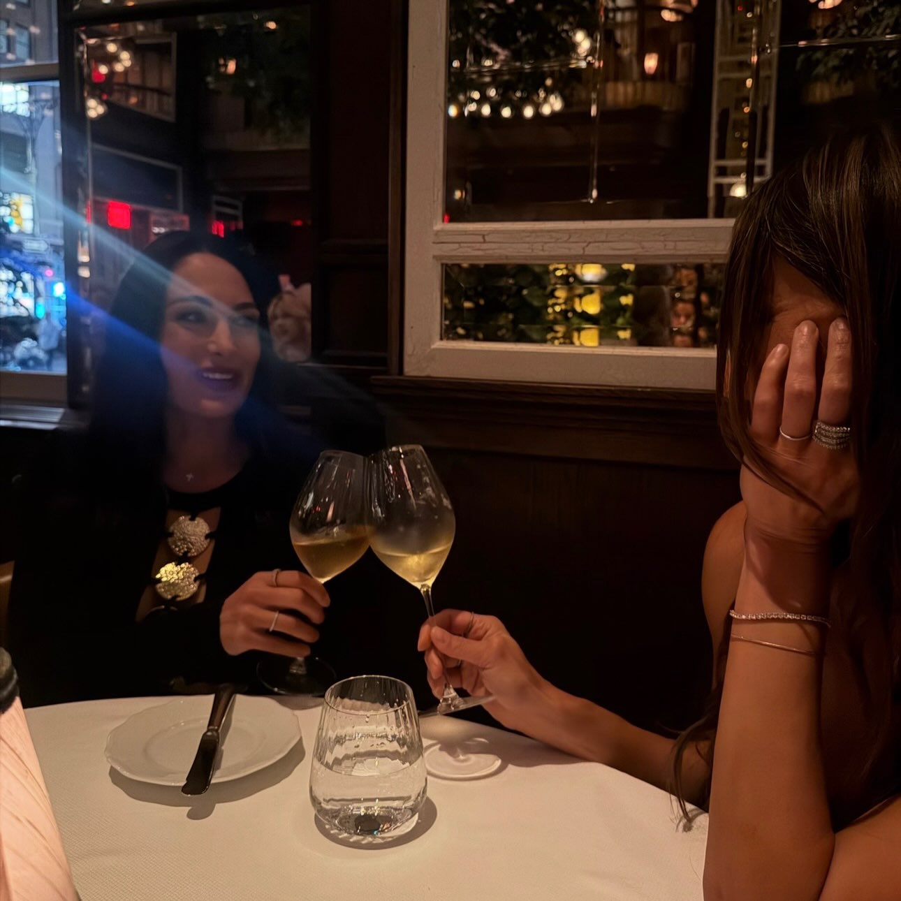 Nikki and Brie Garcia