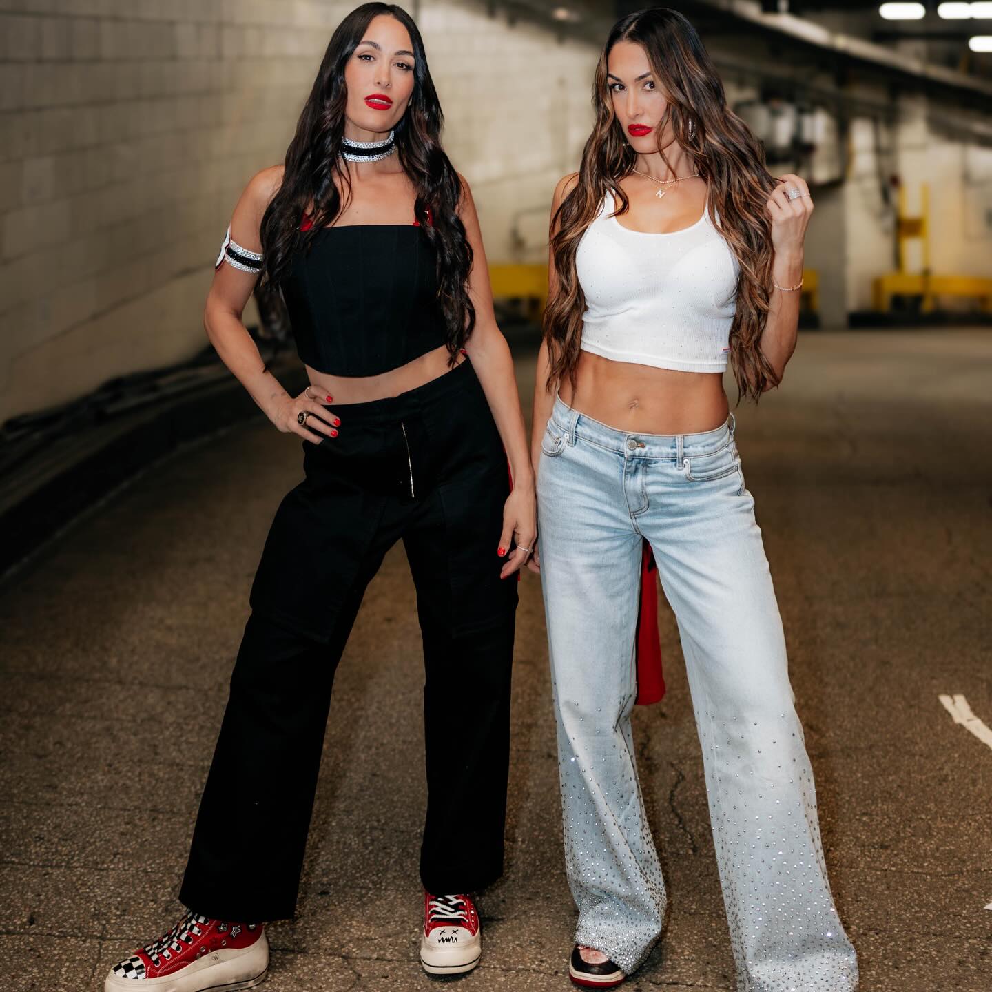 Brie and Nikki Bella