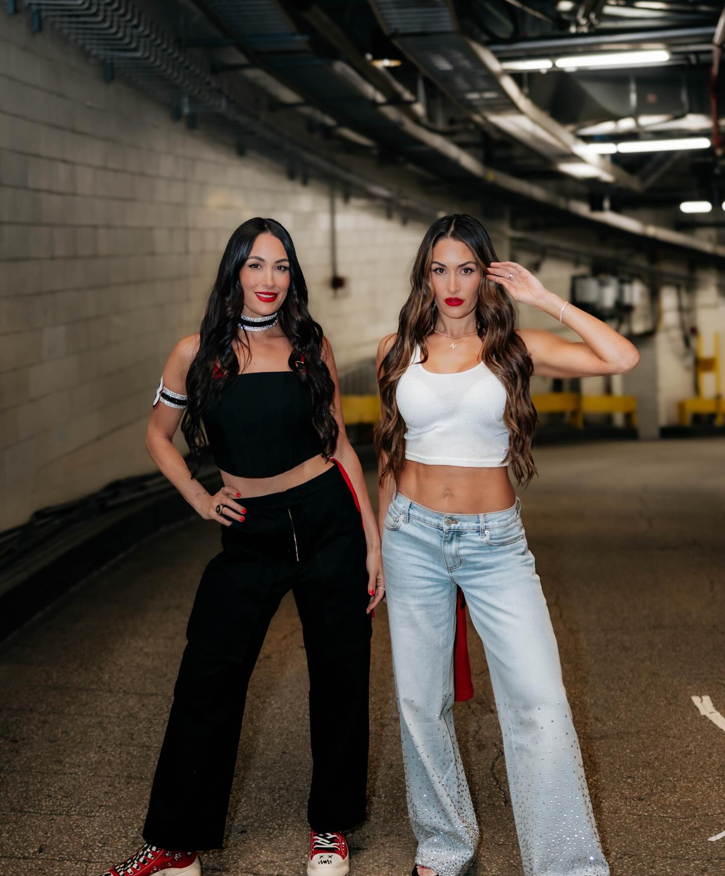 Brie and Nikki Bella