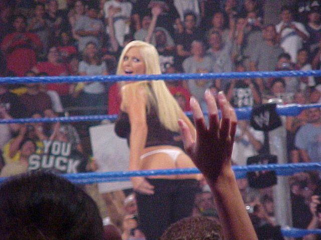 Torrie Wilson