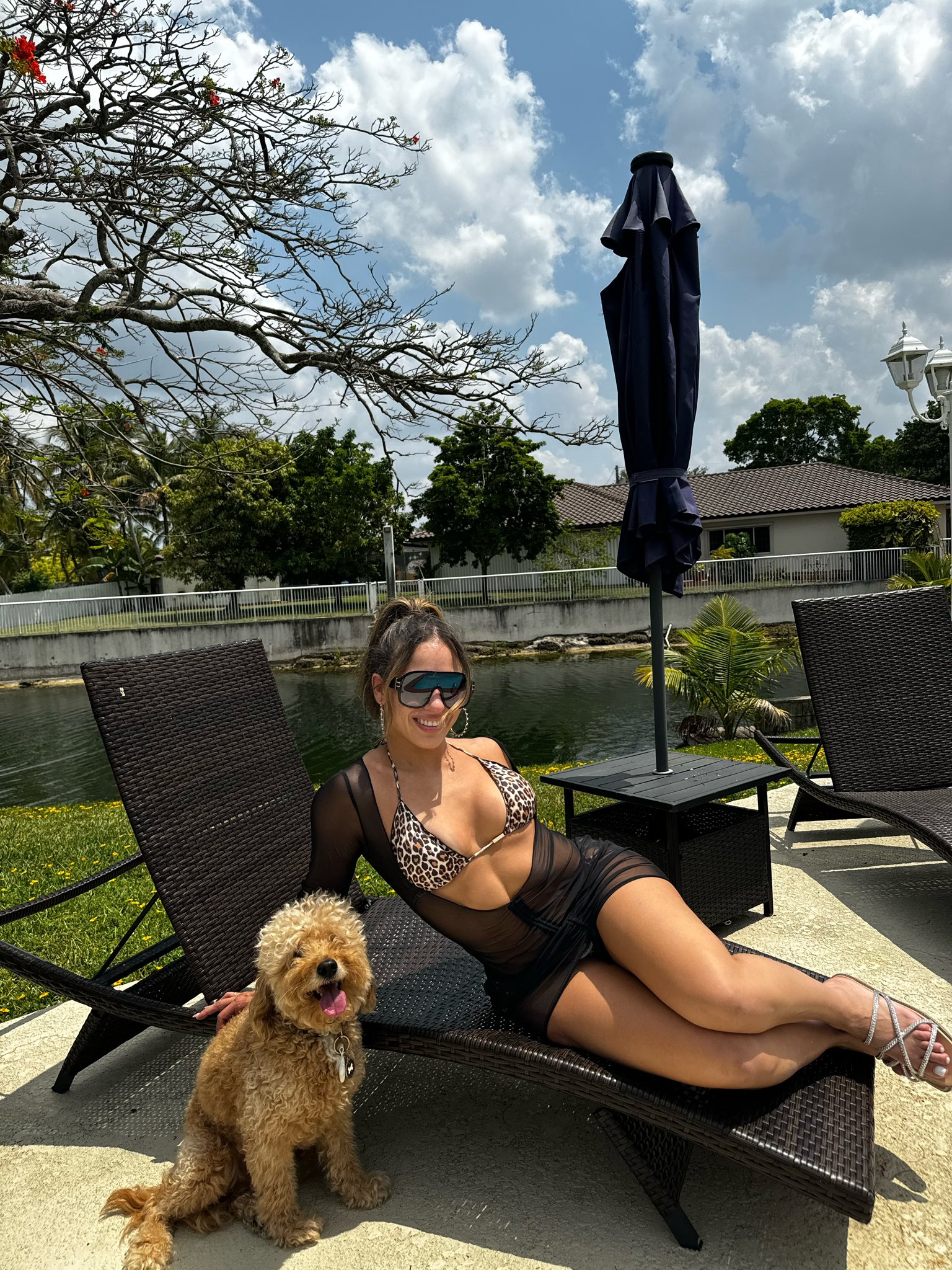 Lola Vice