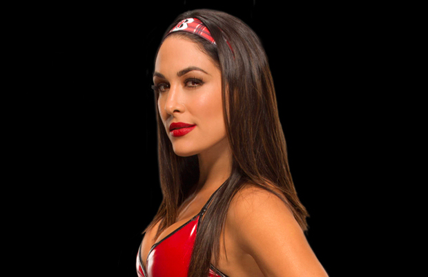 The Hidden Meaning Behind Brie Bella's Tattoo 