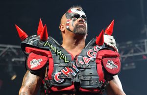 Road Warrior Animal