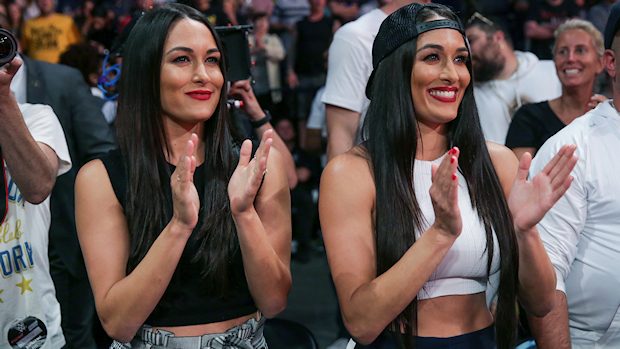 The Bella Twins