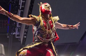 Gran Metalik