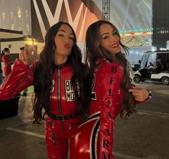 The Bella Twins